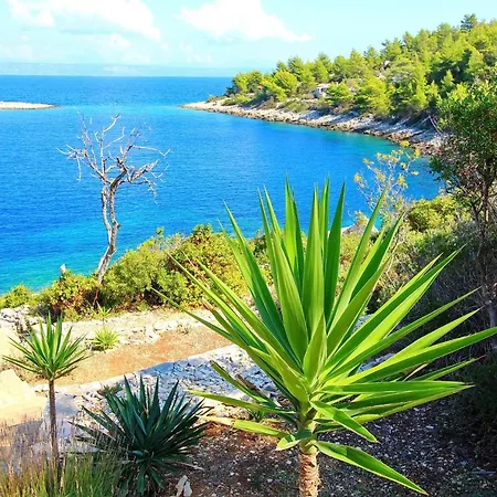 公寓 Robinson House Biondina - Two Bedroom House With Terrace And Sea View Blato (Korcula)